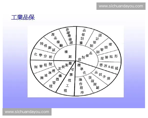 观看足球比赛时需要注意的全面实用安全与文明观赛礼仪综合指南